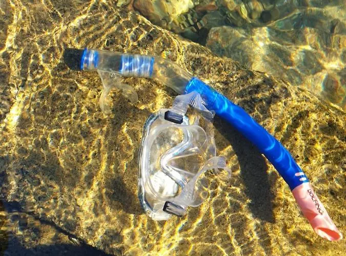 Dashausamsee 度假居