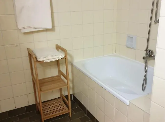 Dashausamsee 度假居 *