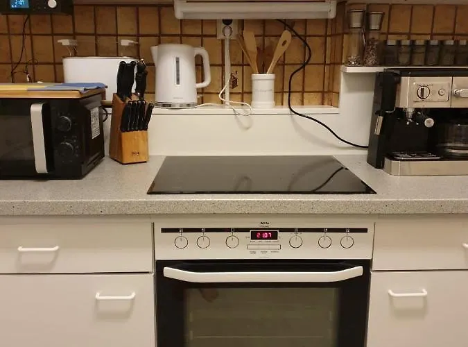 Dashausamsee 度假居 多布里亚赫