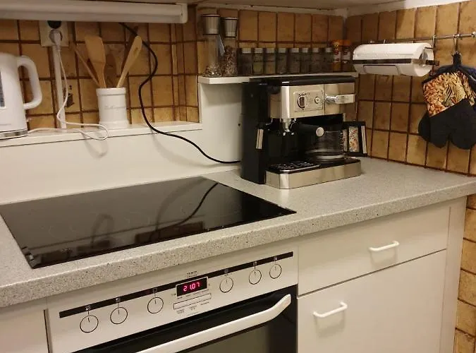 Dashausamsee 多布里亚赫